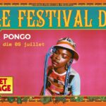 visuel site web Pongo
