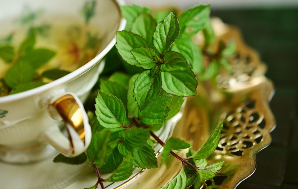 tasse de thé dorée avec des feuilles de menthe sur la coupelle