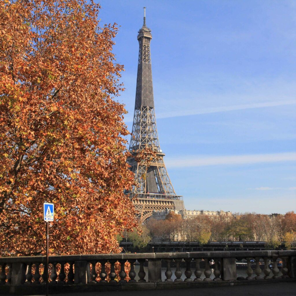 Photo tour Eiffel avec un arbre orange en automne
