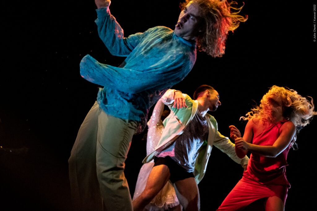 Photo de la compagnie Poisson/Buffle avec ses danseurs en pleine représentation
