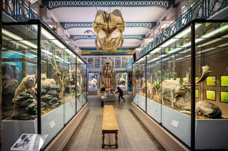 Musée d'Histoire Naturelle de Lille