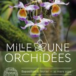 AfficheMNHN_Orchidées_2025